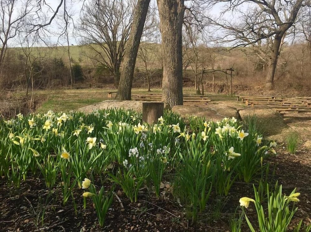 Lawrence Vacations - Circle S Ranch - Property Image 60