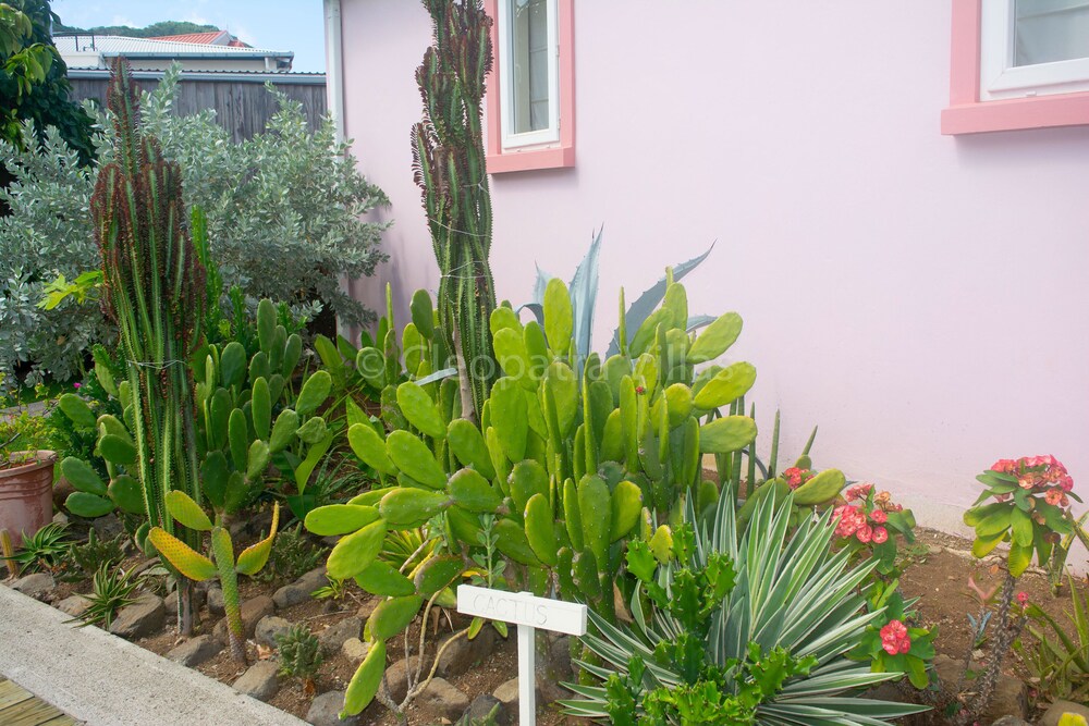Photo 32