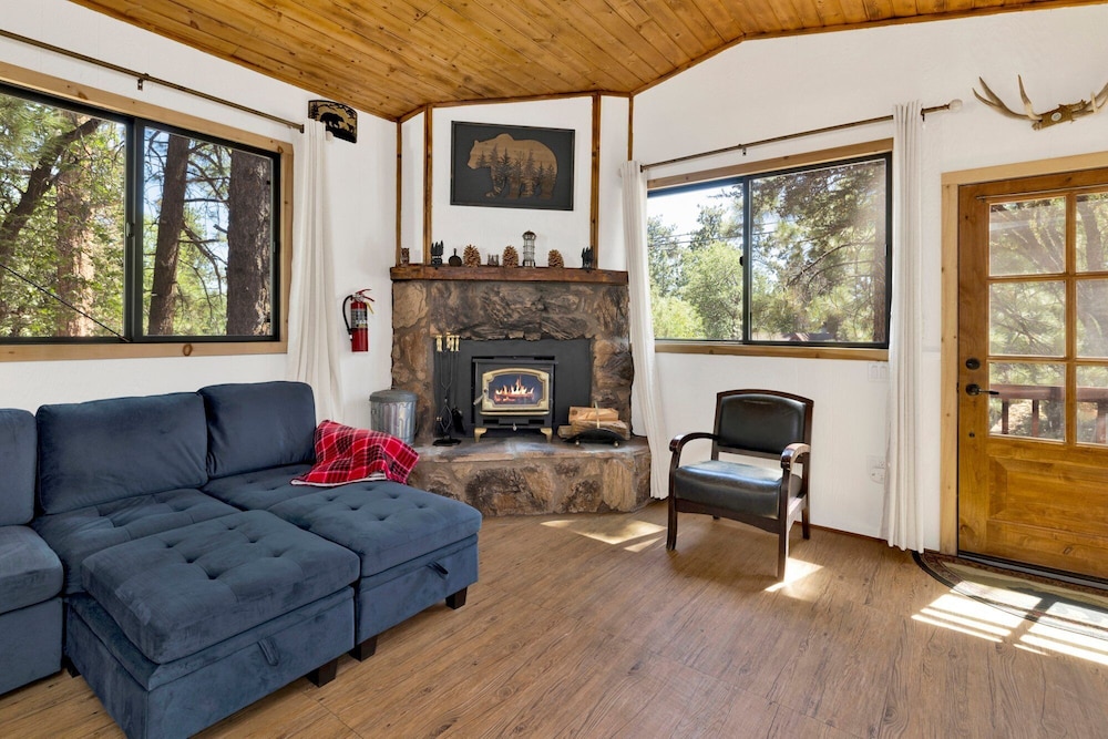 Bear Forest Cabin #2553