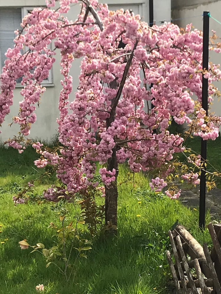 Lovely Friendly House Stay view 5