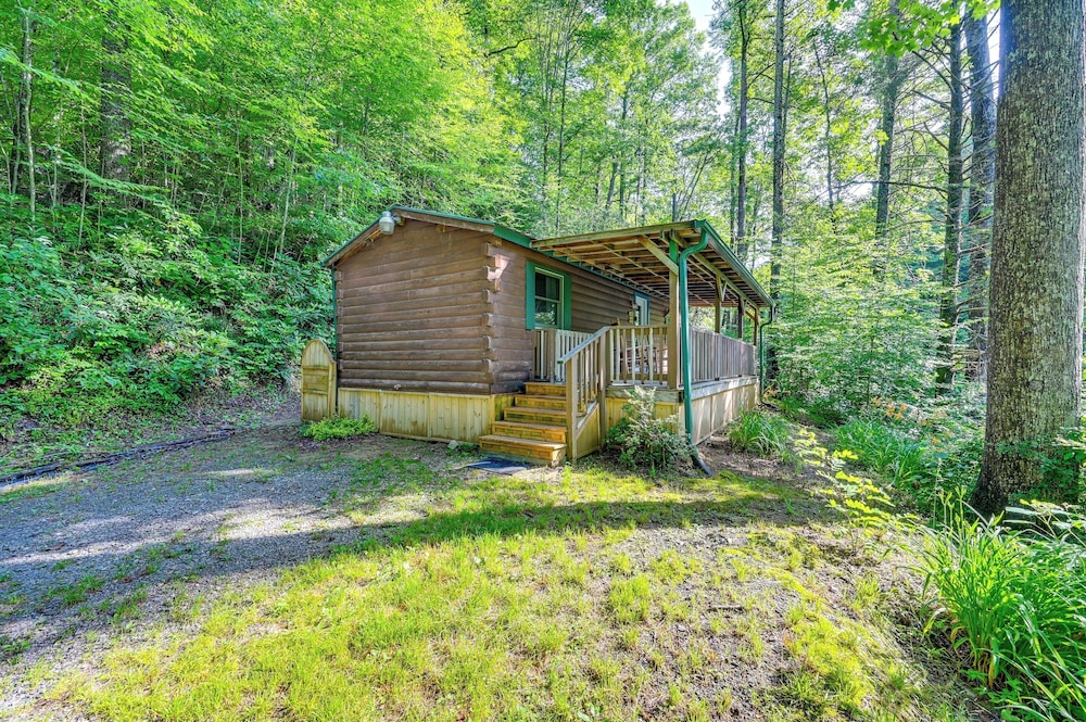 Rosman Vacation Rental w/ Charcoal Grill! view 4