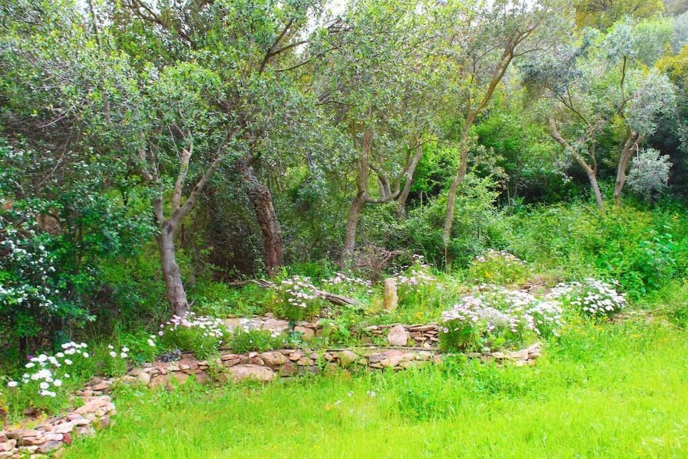 Photo 25