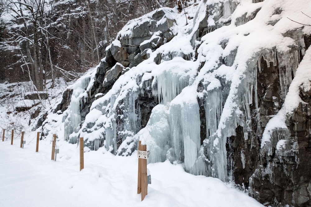 Le Plateau – RVMT - Image 3