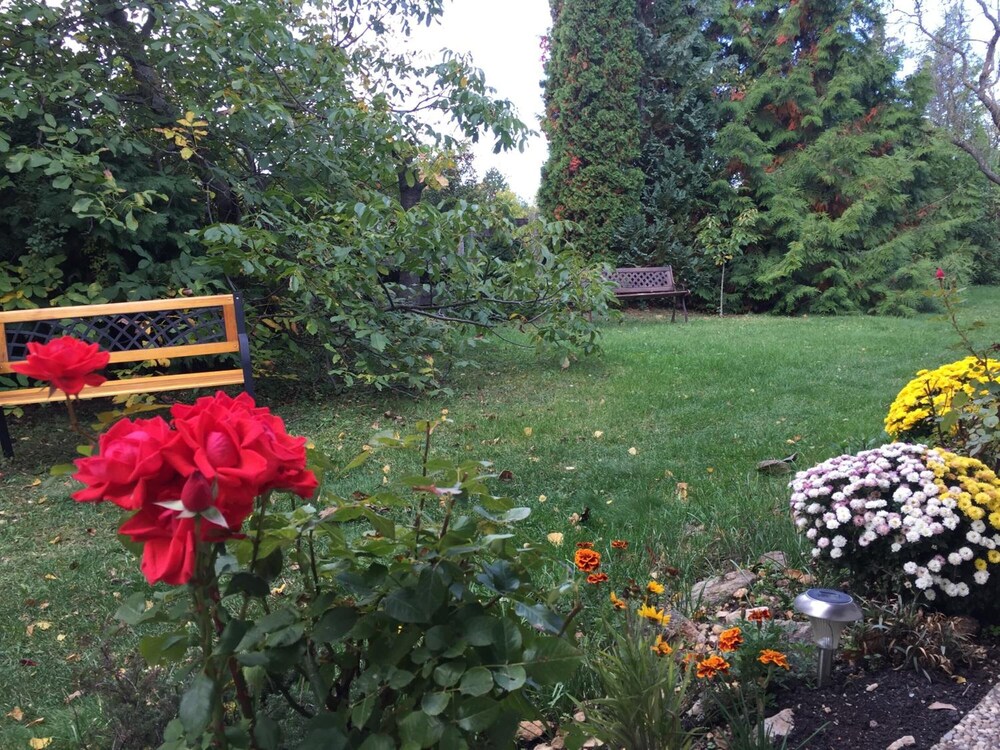 Photo 34