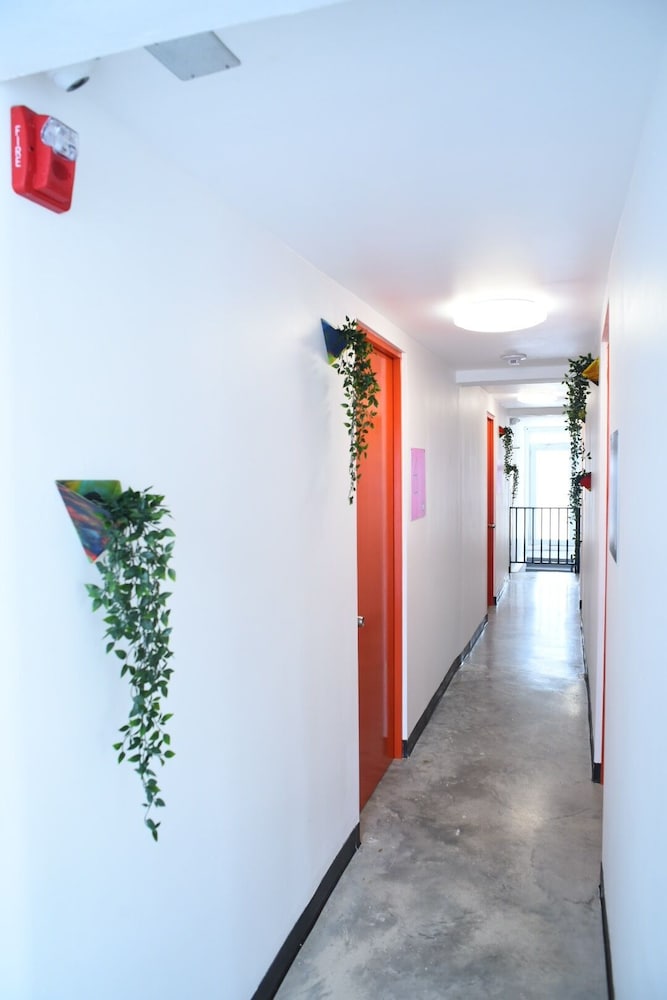 Juliette Hostel for Women Only - Property Image 19