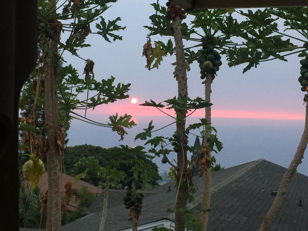 Kona Hawaii Guesthouse