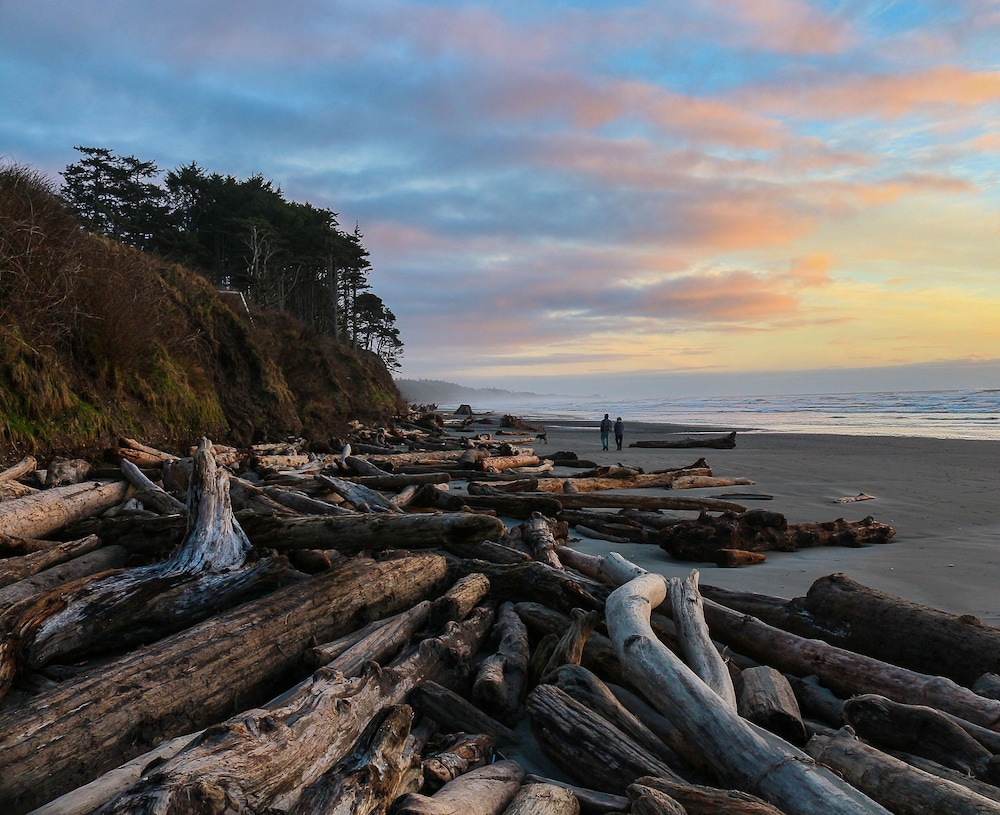 Kalaloch Lodge, Foto 49