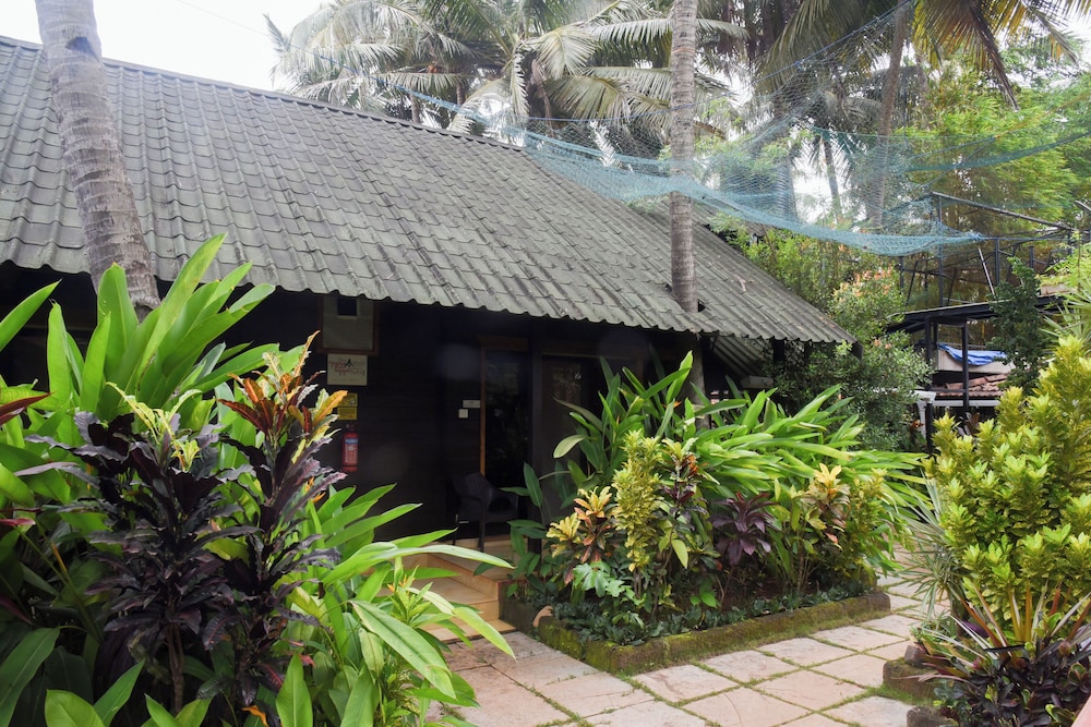 Yuppi Hippi Hideout