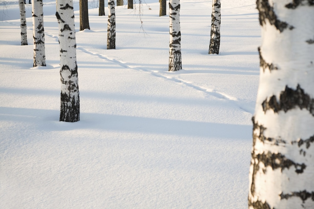 Hapimag Resort Punkaharju