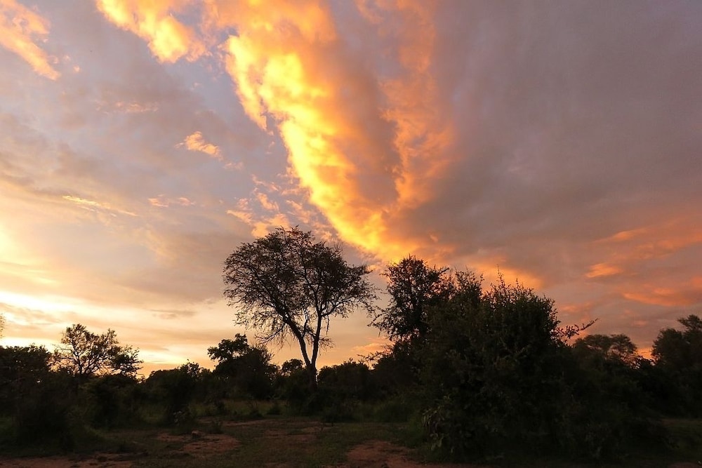 Croc Valley Camp