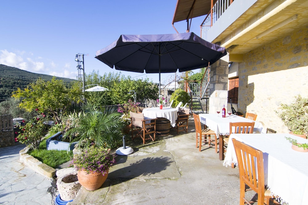 Villa Olive Tree