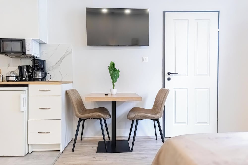 9BR Apts in the Heart of Vienna