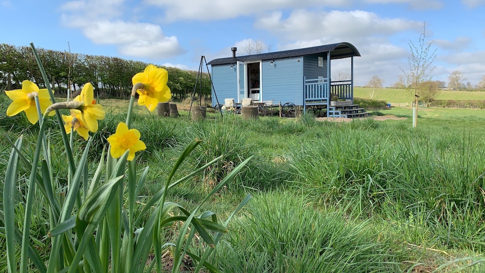 Westfield House Farm