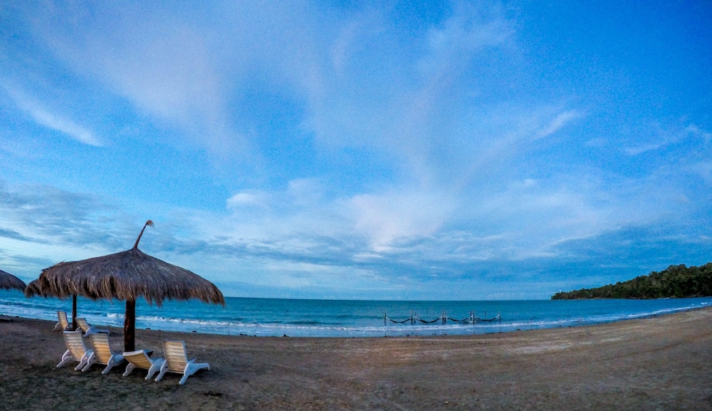 Palm Beach Resort & Spa photo 7
