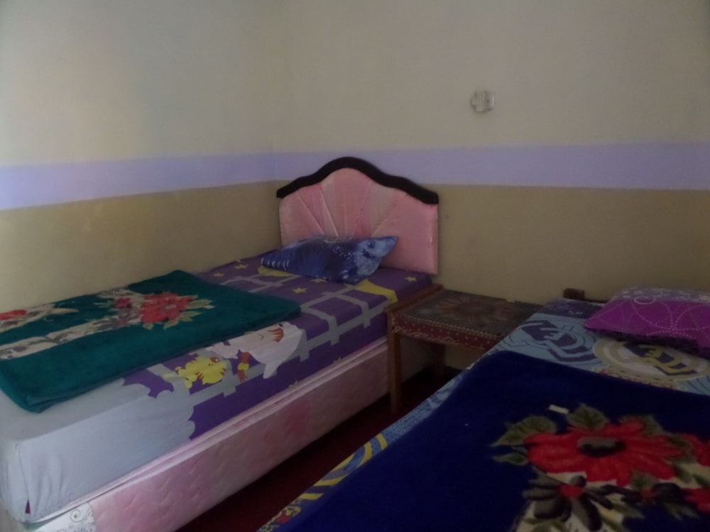 Yog Bromo Homestay