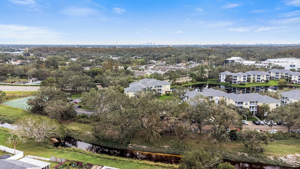 The Urban Oasis Serene Views!