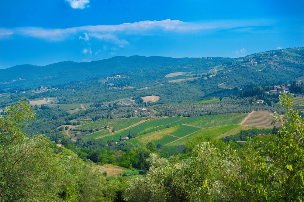 Villa Chianti With Pool Near The Vineyard photo 4