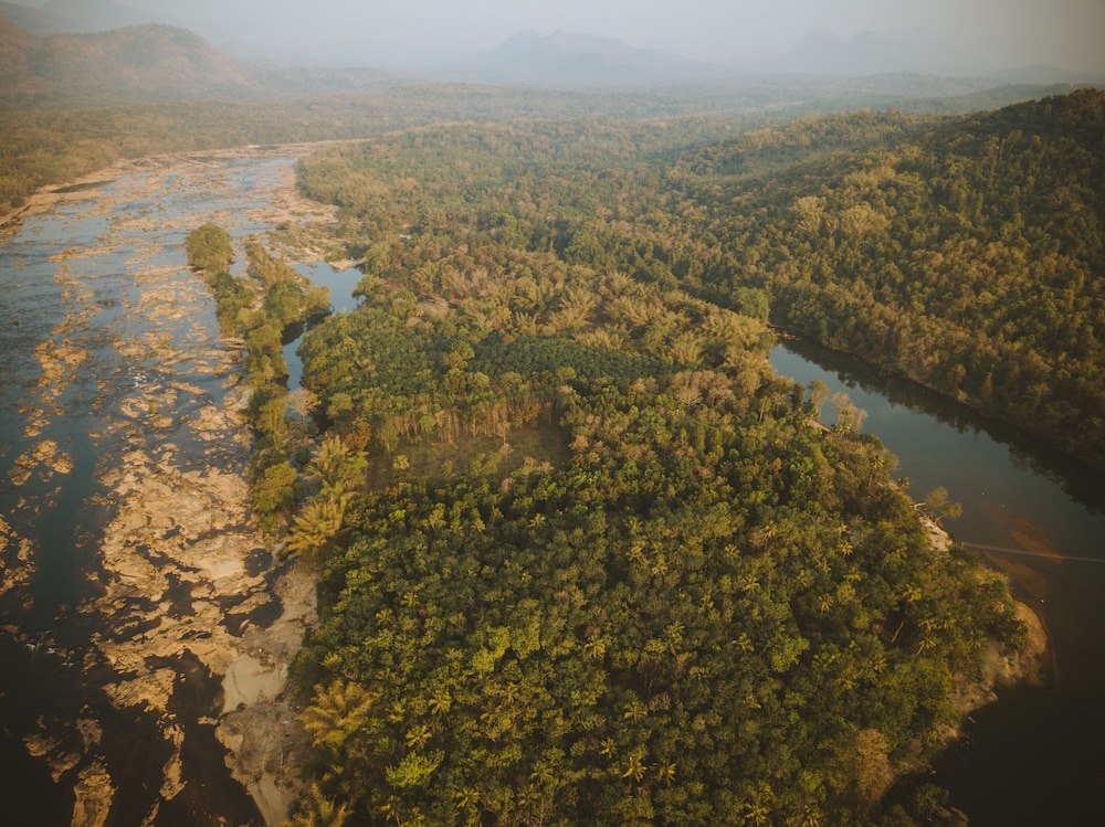 Quiet by the River