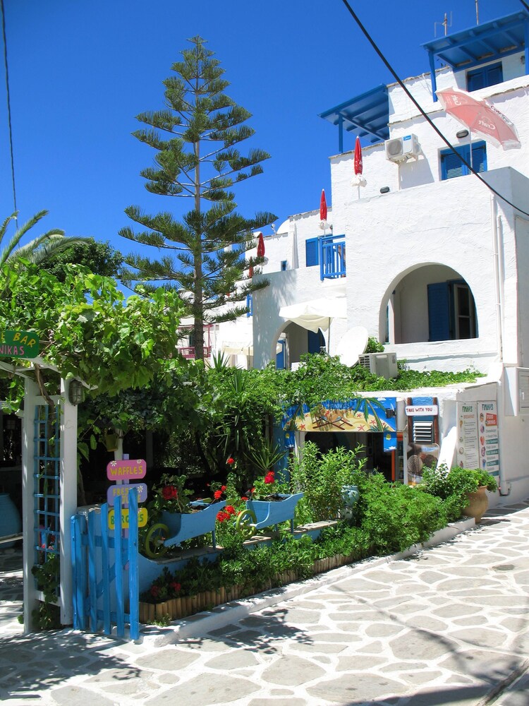 Photo 10
