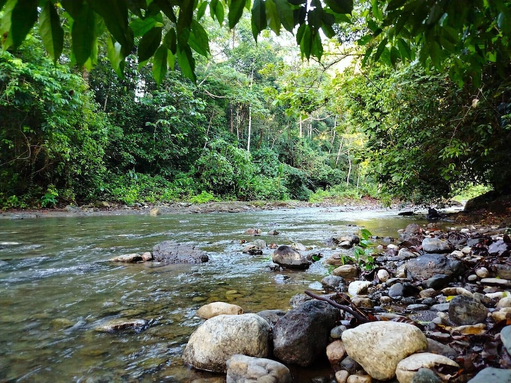 Corcovado Pura Vida Stays