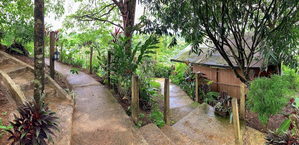 Photo 43