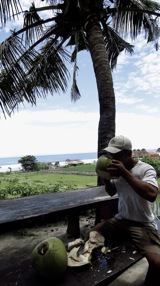 Dikaloha Medewi Surfcamp