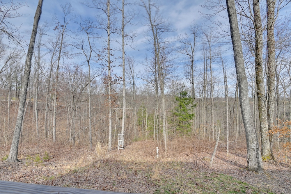 Bring a Pet: Peaceful Frenchburg Cabin on 1 Acre