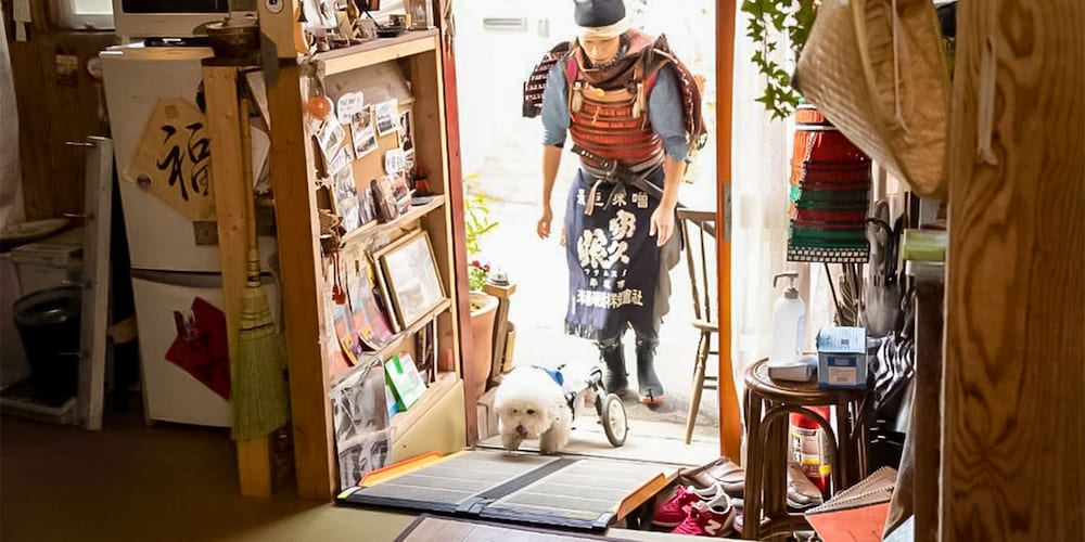 Samurai Guesthouse irodori Kamakura