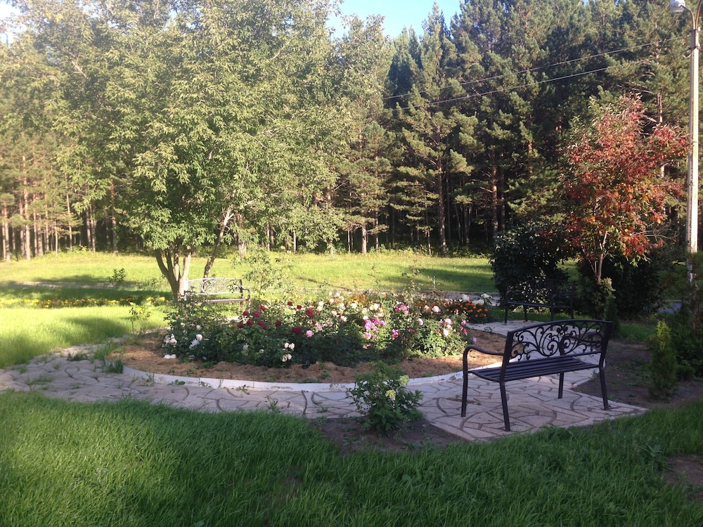 Sosnoviy Bor Hotel view 2