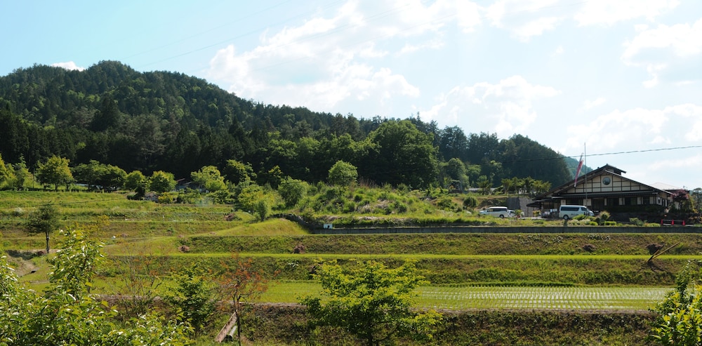 Sakura Guest House - Hostel