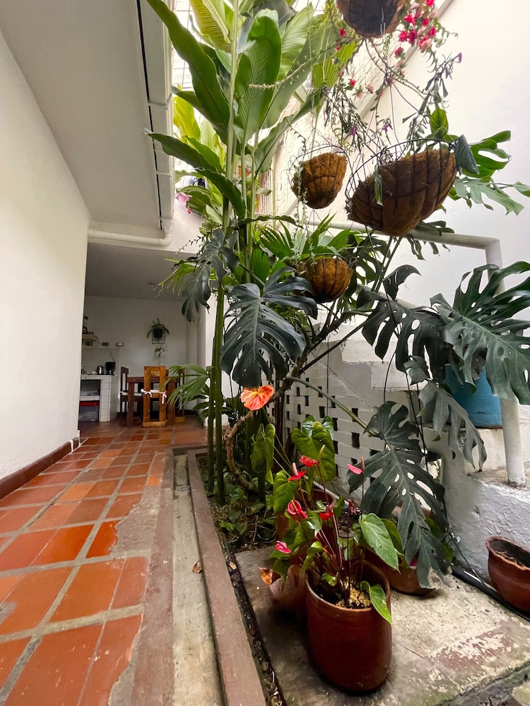 Hostal Chontaduro