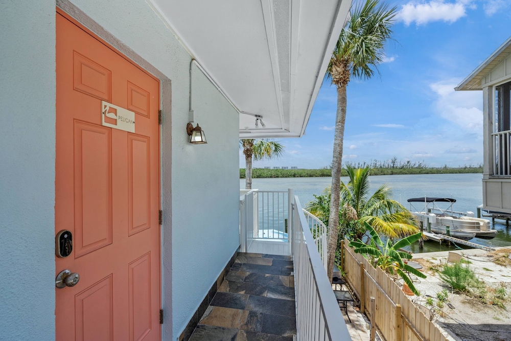 Coastal Breeze Siesta - Pelican