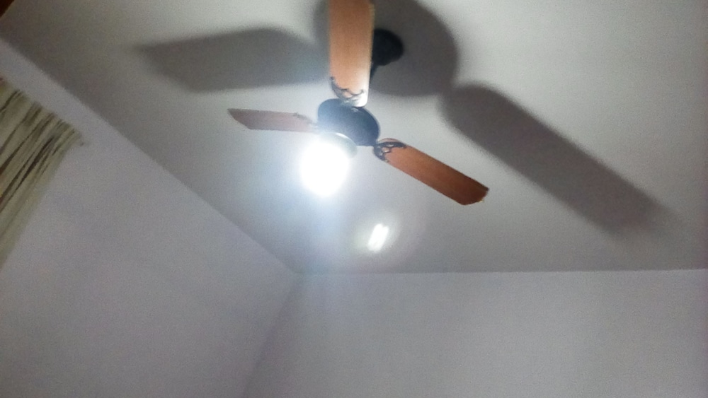 Photo 51