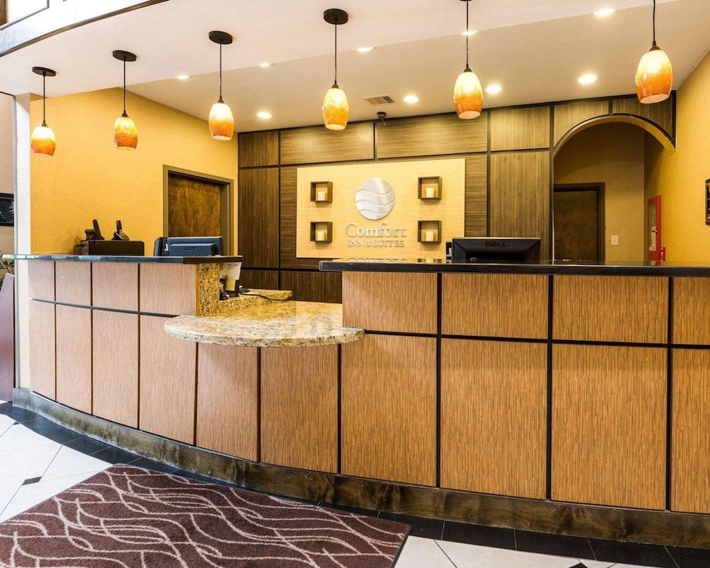 Comfort Inn & Suites Winnie view 3