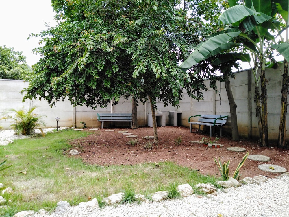 Photo 17