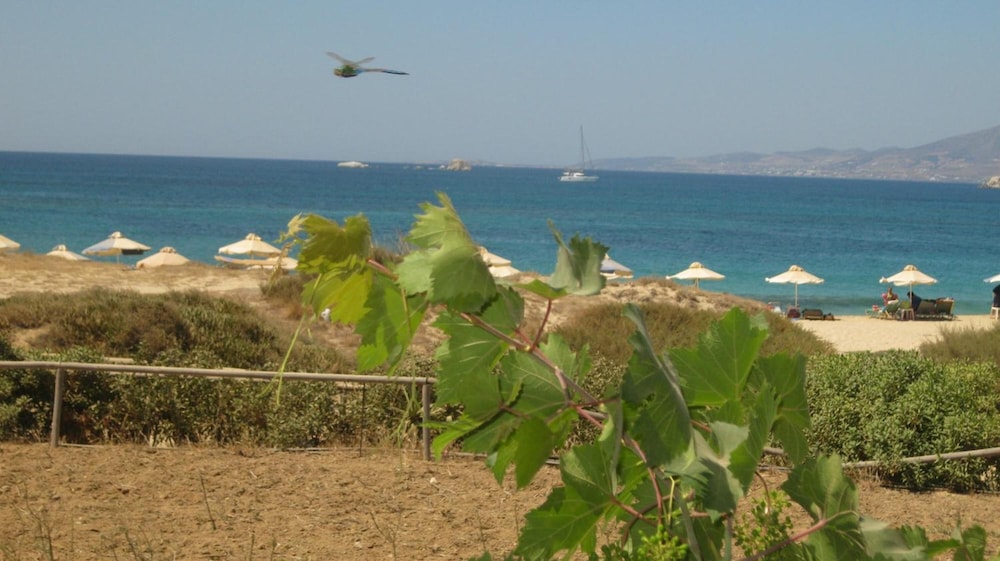 Aronis Plaka Naxos