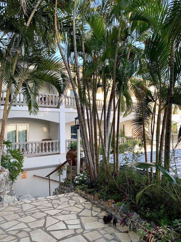 Lazy Parrot Inn - Property Image 16