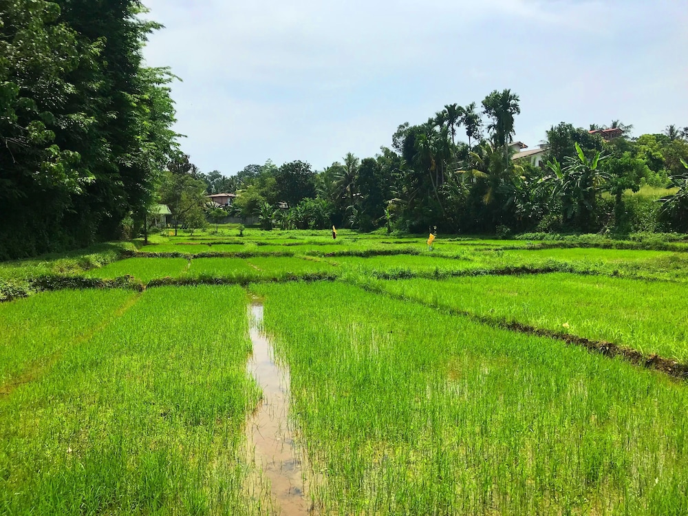 Horahena Farm Stay