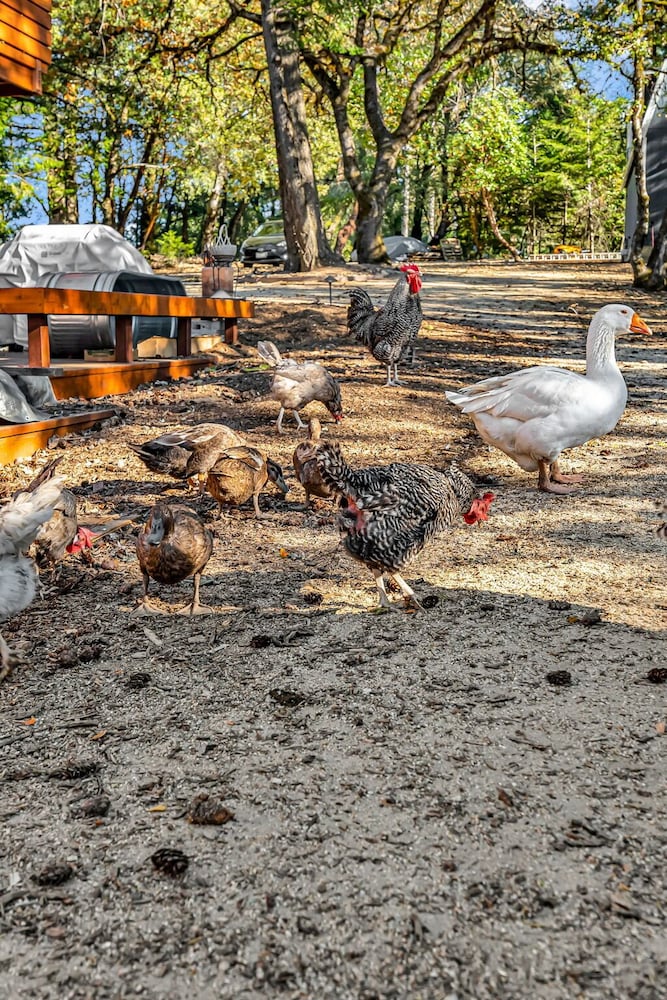 Mays Luxury Farm Stays