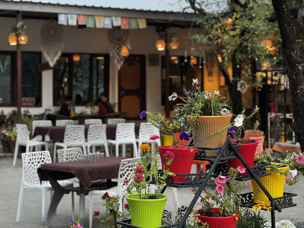 The Royal Orchard Kasol
