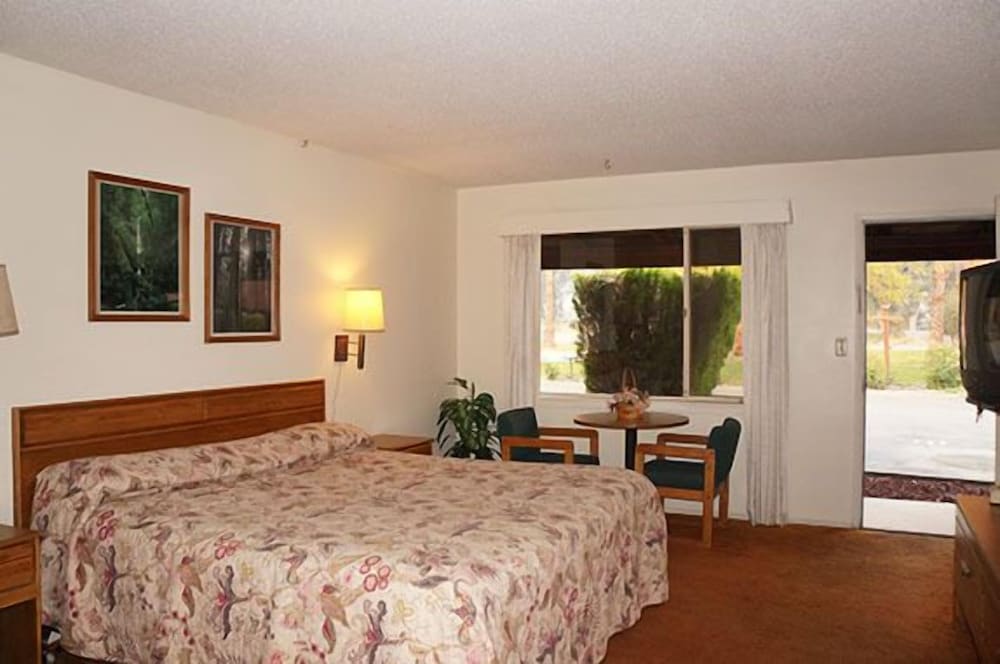 Willows Vacations - Blue Gum Motel - Property Image 15