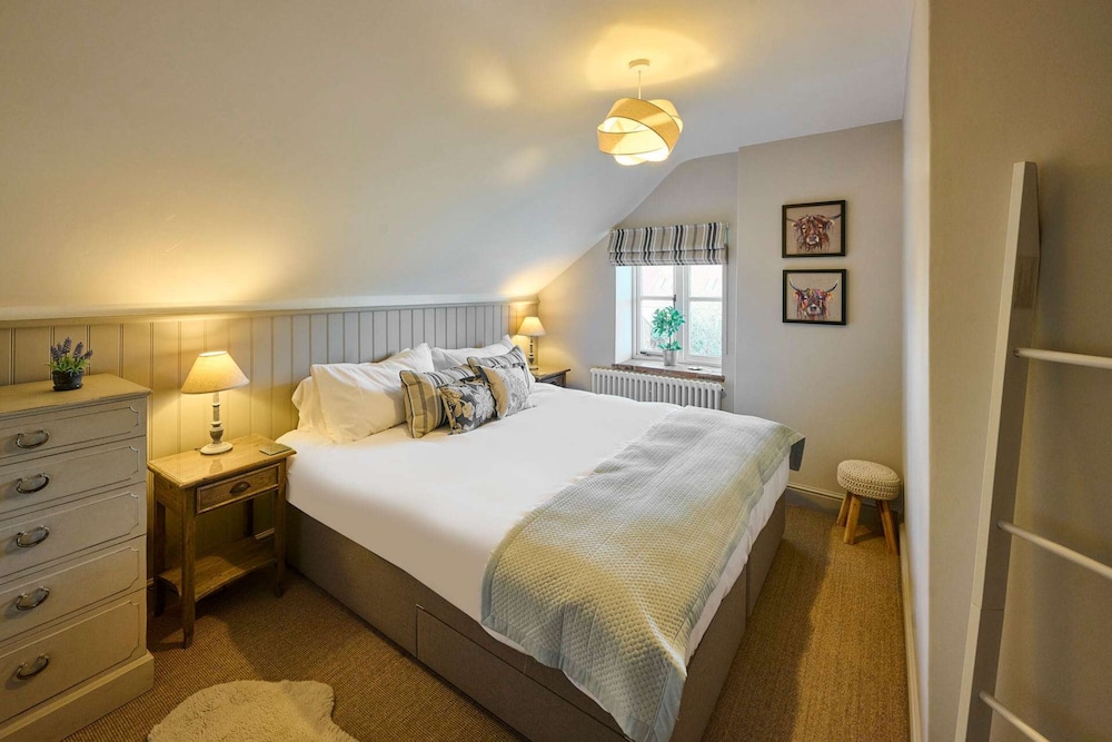 Host Stay Rock Rose