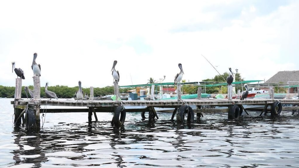 San Felipe Inn Yucatan - Property Image 1