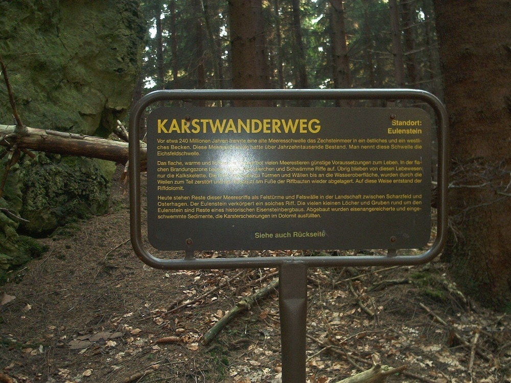 Ferienwohnung Stricker Harz
