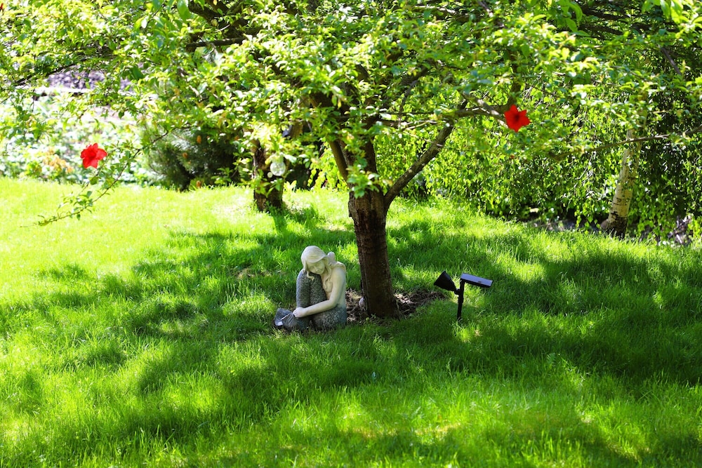 Photo 47