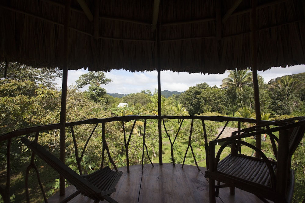 Cotton Tree Lodge