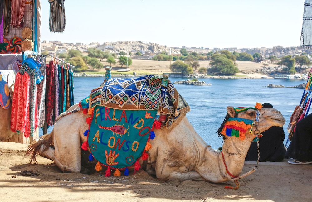 Kato Dool Nubian House