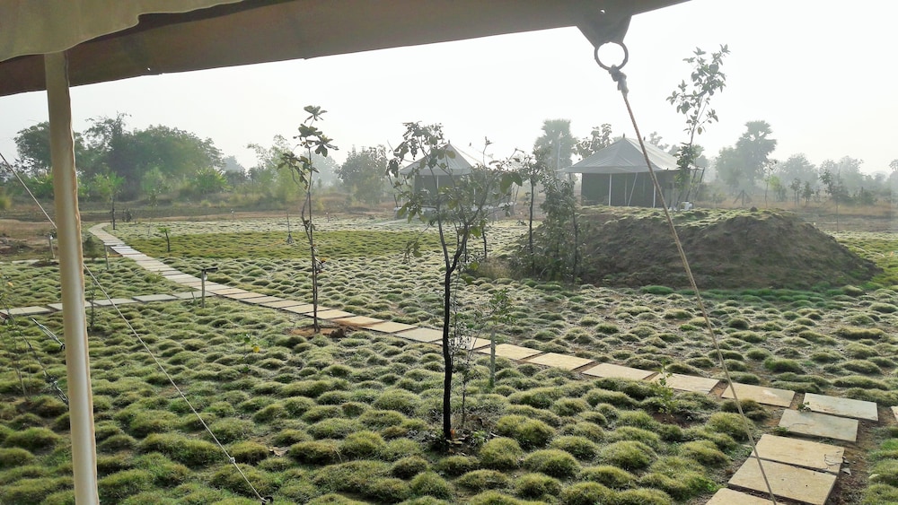 Mint Bodhivann Jungle Retreat view 3