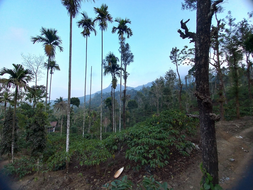Manikkal Bungalow Uphill Cottage Large view 2