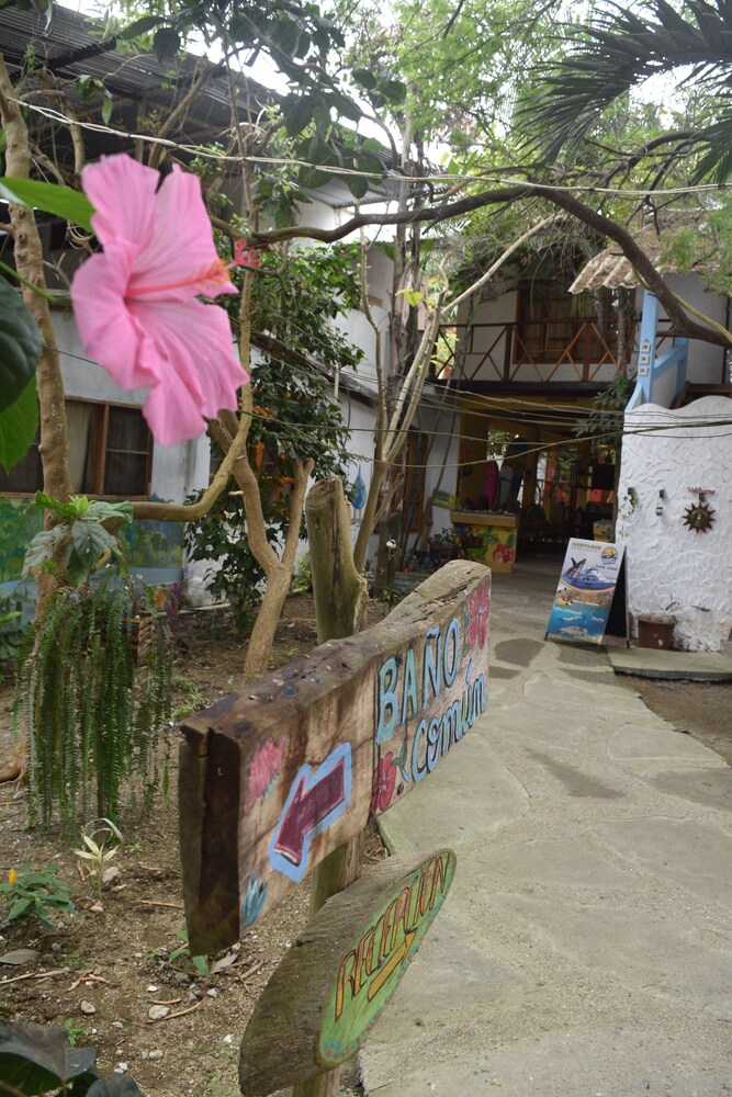 Photo 42